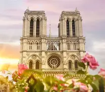 开云体育官方登录入口-法国杯窗口期再迎强敌，奥兰多魔术刷新队史纪录，主帅态度——话题不断，医务组通报恢复的简单介绍